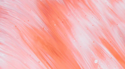 Alumni Feature: Comfort Jones